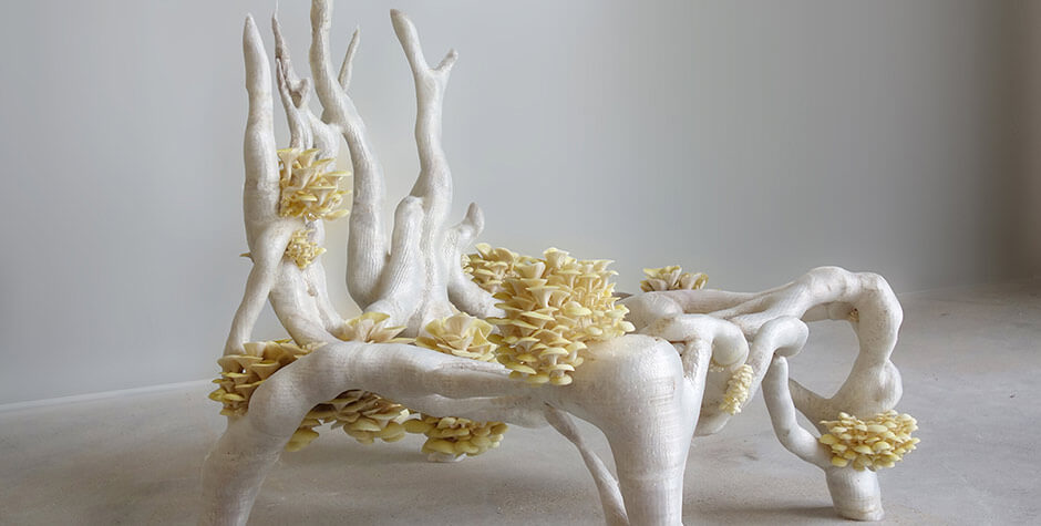 Eric Klarenbeek, Mycelium chair, 2012-2013 © DR