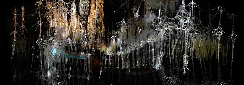 Epiphyte-Chamber-Museum-of-Modern-and-Contemporary-Art-Seoul-KR-2013