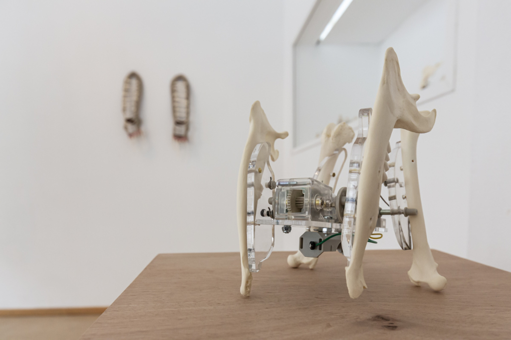 Bone Bots (plexi, electronic, assorted bones), Käthe Wenzel (2010)