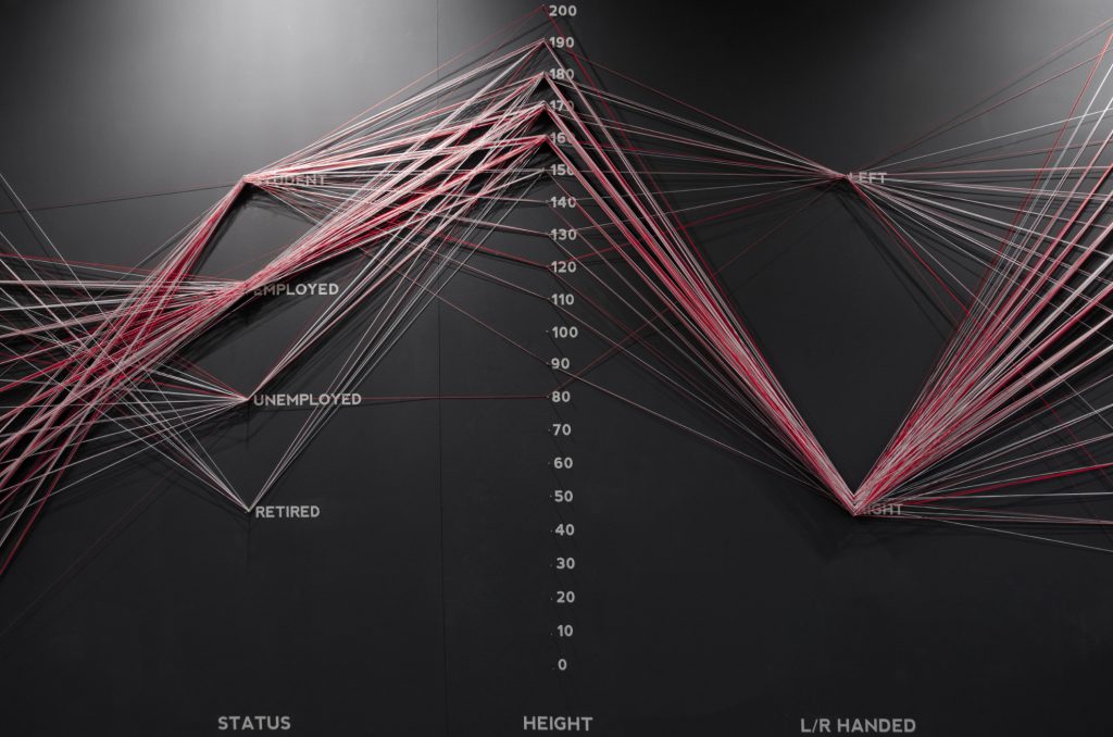 Data Strings, Domestic Data Streamers (2013) 