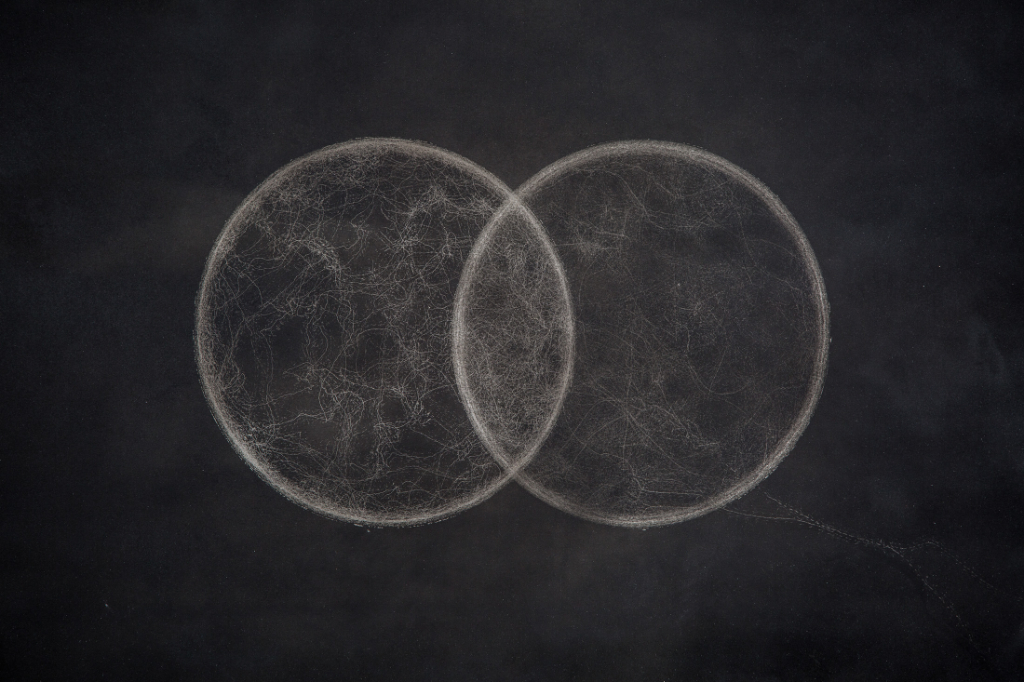 Traces of two ants under two cylindrical shapes, Naturantypie (2015)
