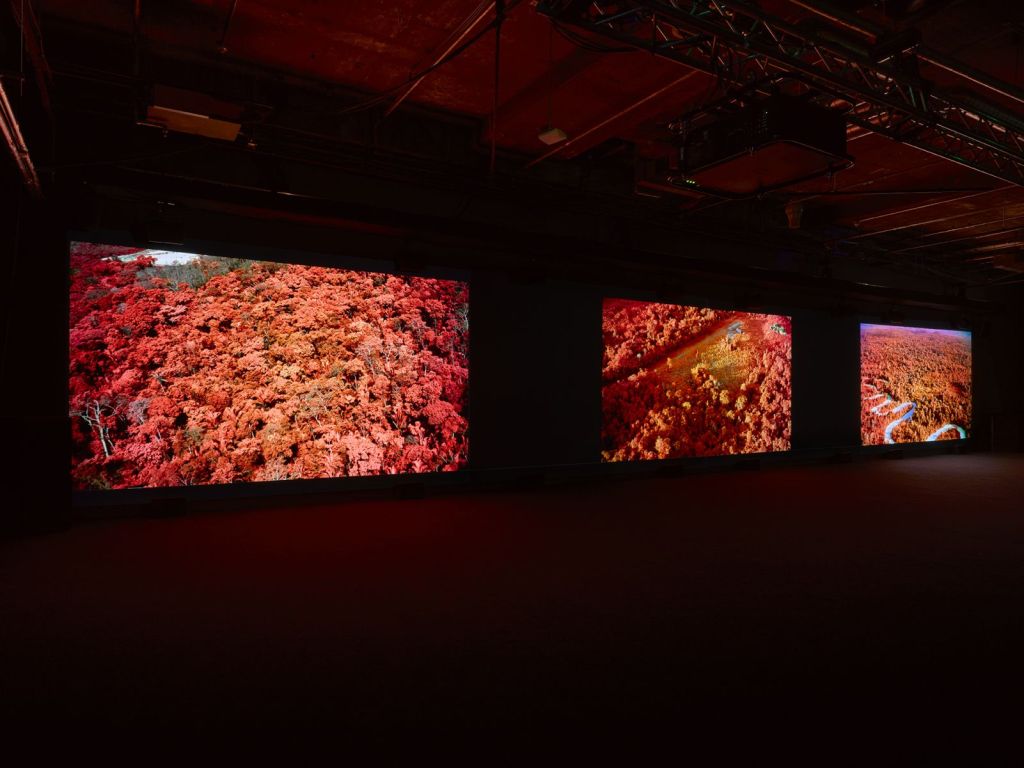 Broken Spectre, Richard Mosse (2022). Installation view. Photo credit: Jack Hems.